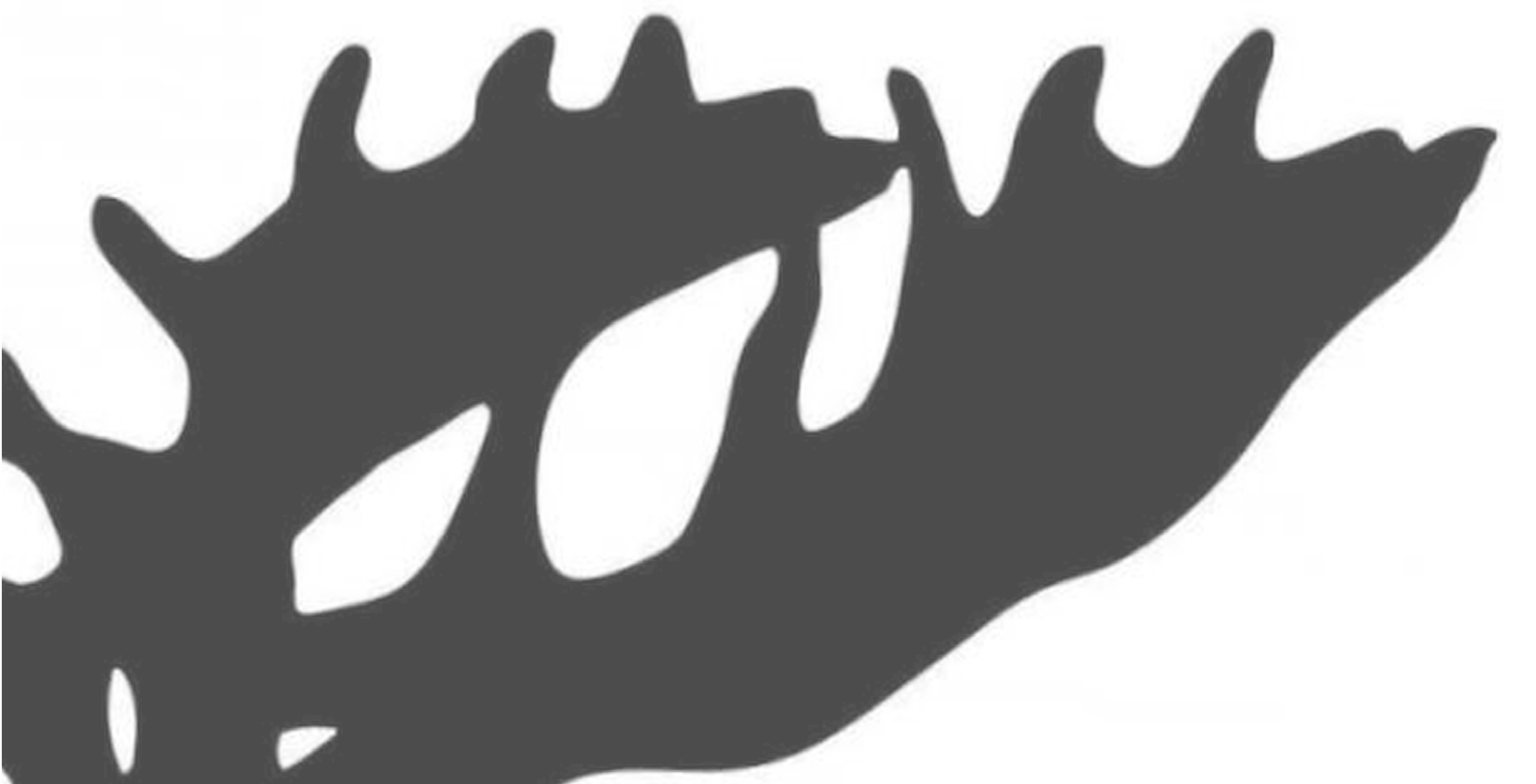 Alkon-Protection Startseite 